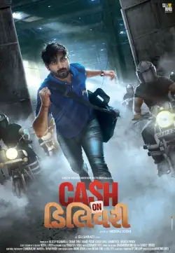 Cash on Delivery (2017) WEB-DL 480p | 720p | 1080p