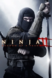 Ninja: Shadow of a Tear (2013) AVC AAC 480p | 720p | 1080p