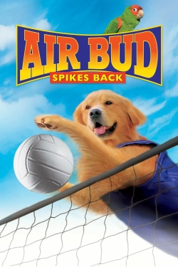 Air Bud: Spikes Back (2003) WEB-DL 480p | 720p | 1080p