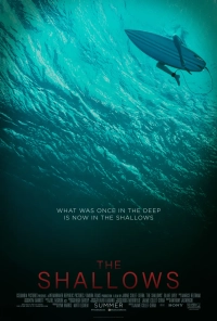 The Shallows (2016) WEB-DL 480p | 720p | 1080p