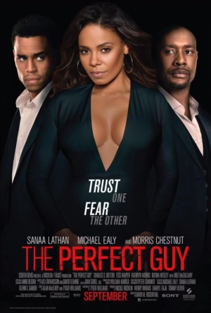 The Perfect Guy (2015) WEB-DL 480p | 720p | 1080p