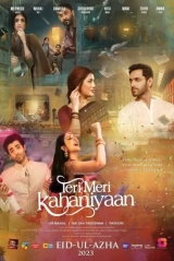 Teri Meri Kahaniyaan (2023) WEB-DL 480p | 720p | 1080p