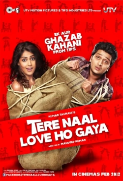 Tere Naal Love Ho Gaya (2012) WEB-DL 480p | 720p | 1080p