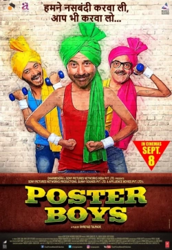Poster Boys (2017) WEB-DL 480p | 720p | 1080p