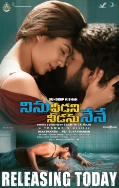 Ninnu Veedani Needanu Nene (2019) WEB-DL 480p | 720p | 1080p