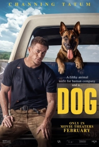 Dog (2022) WEB-DL AVC DDP 480p | 720p | 1080p