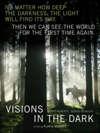 Visions in the Dark (2023) BluRay x264 480p | 720p | 1080p