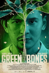 Green Bones (2025) WEBRip x264 AVC AAC 720p | 1080p