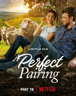 A Perfect Pairing (2022) WEB-DL 480p | 720p | 1080p