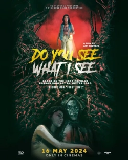 Do You See What I See (2024) WEBRip x264 AVC AAC 720p | 1080p