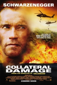 Collateral Damage (2002) WEB-DL 480p | 720p | 1080p