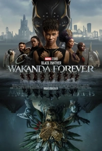 Black Panther: Wakanda Forever (2022) HDTS x264 480p | 720p | 1080p