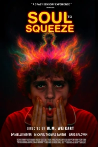 Soul to Squeeze (2025) WEBRip x264 AVC AAC 1080p