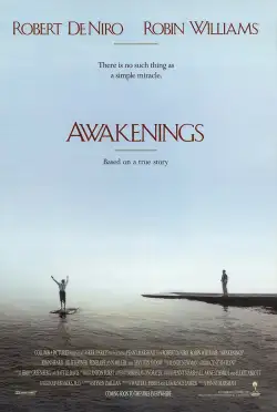 Awakenings (1991) WEB-DL 480p | 720p | 1080p