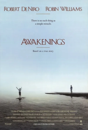 Awakenings (1991) WEB-DL 480p | 720p | 1080p