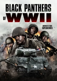 Black Panthers of WWII (2025) BluRay AVC AAC 720p | 1080p