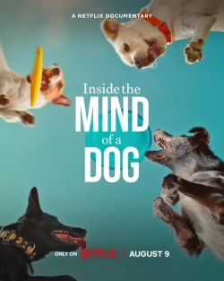 Inside the Mind of a Dog (2024) WEB-DL 480p | 720p | 1080p