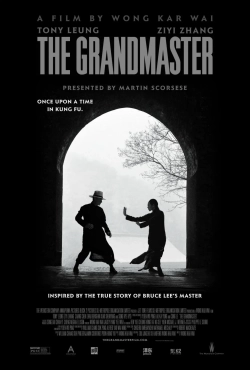 The Grandmaster (2013) WEB-DL 480p | 720p | 1080p