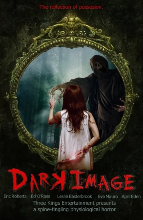 Dark Image (2017) WEB-DL 720p