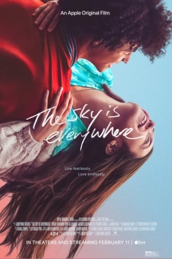 The Sky Is Everywhere (2022) WEB-DL 720p